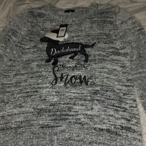 Dachshund through the snow sweater